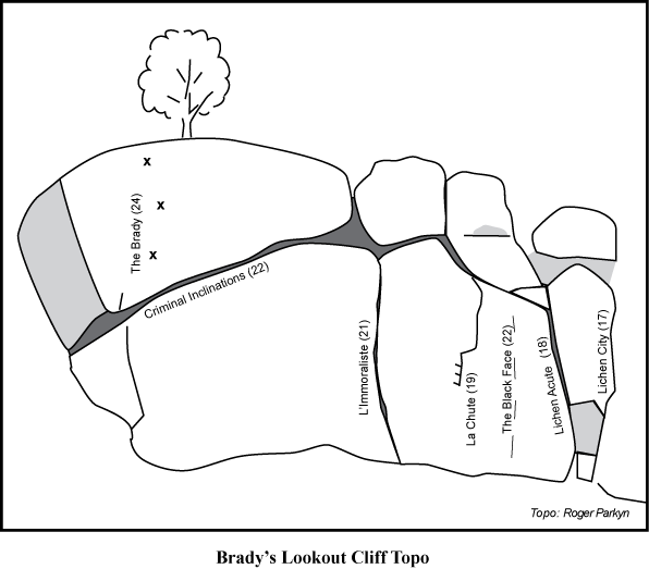 bradys.png