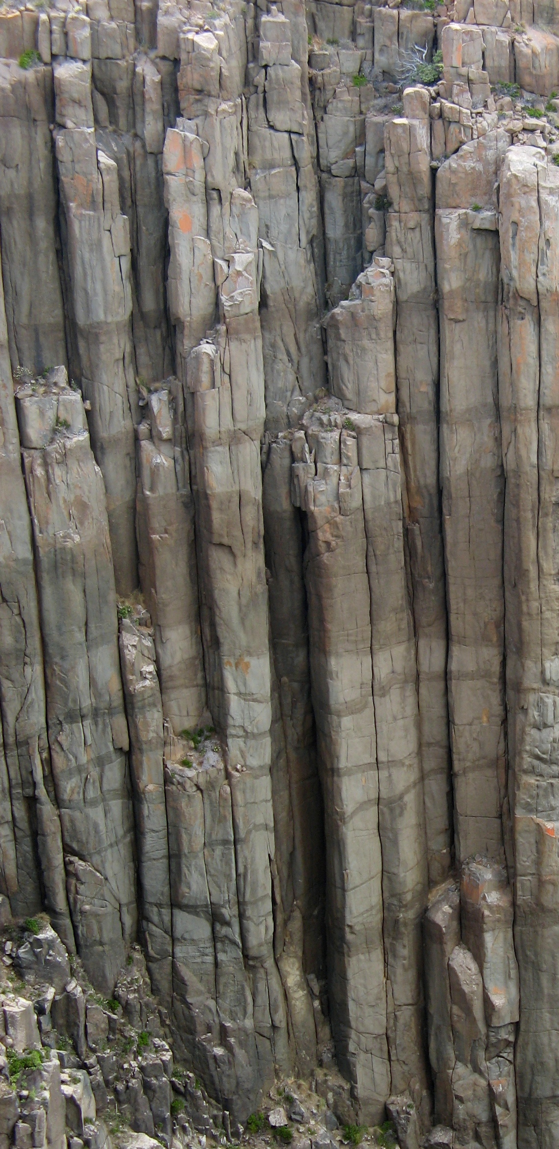 the shells of rheban