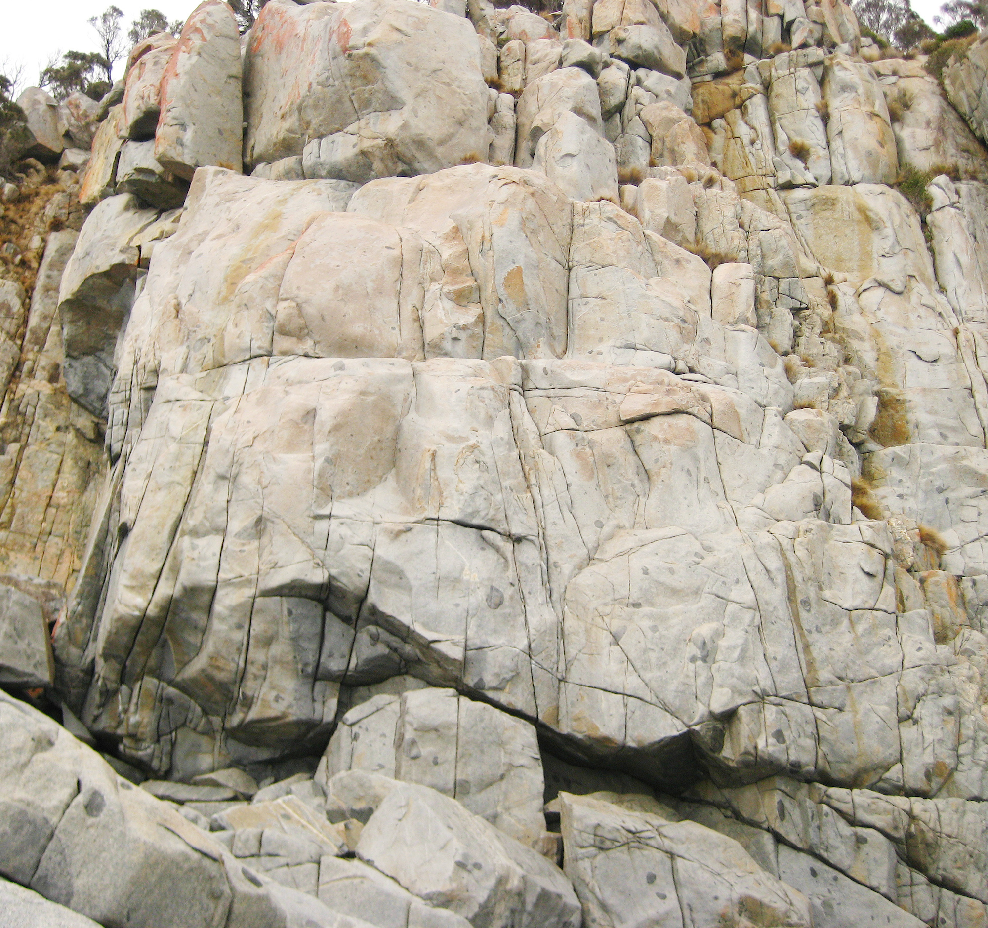 Harlequin Buttress