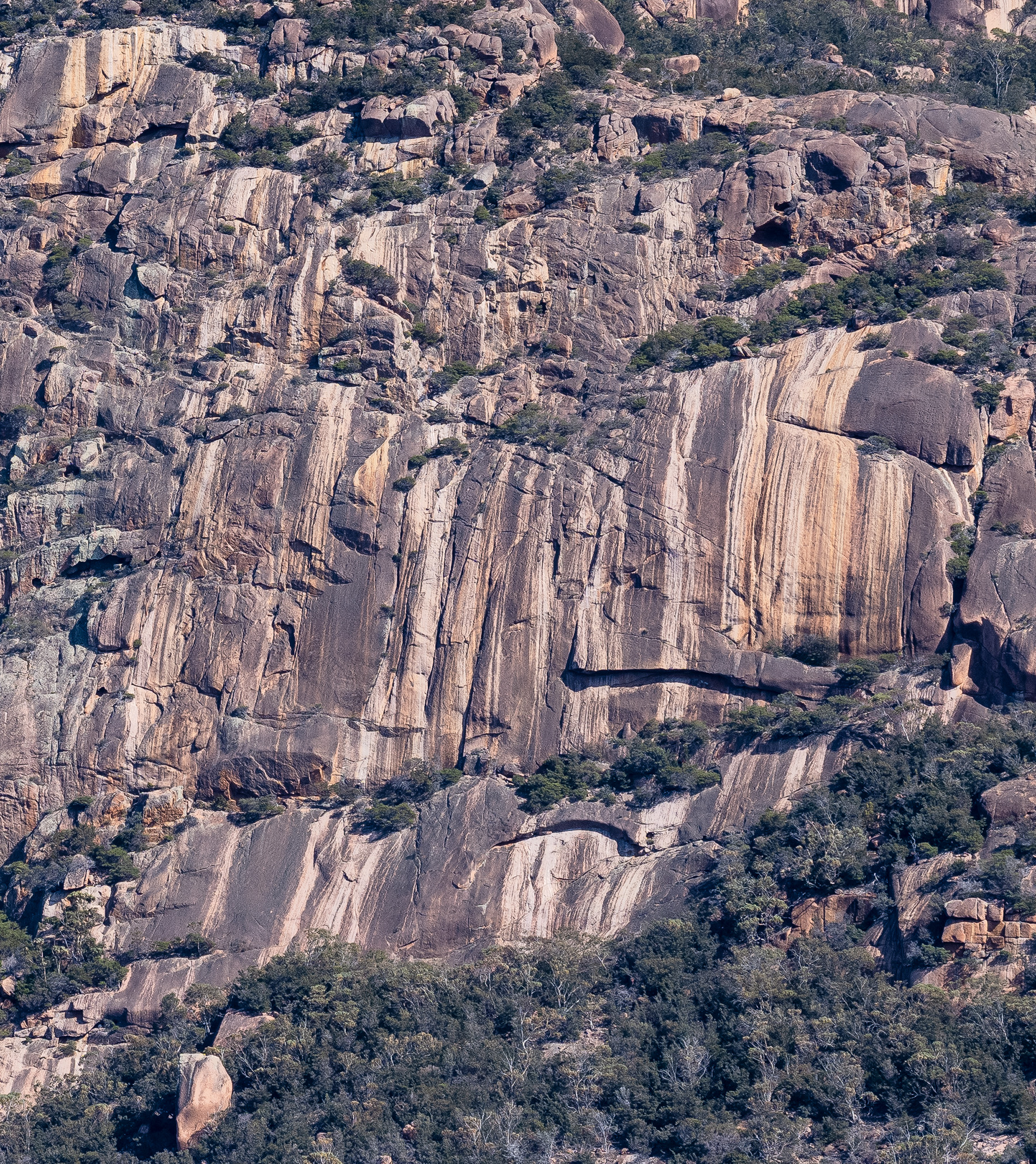 Main Wall Right
