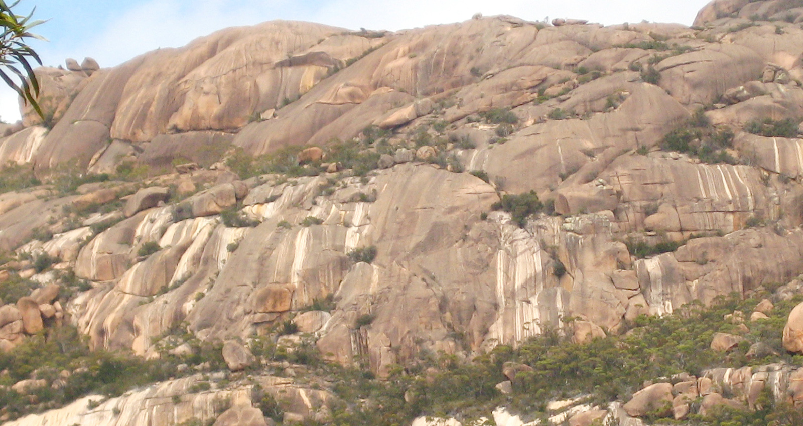 Wombat Crag