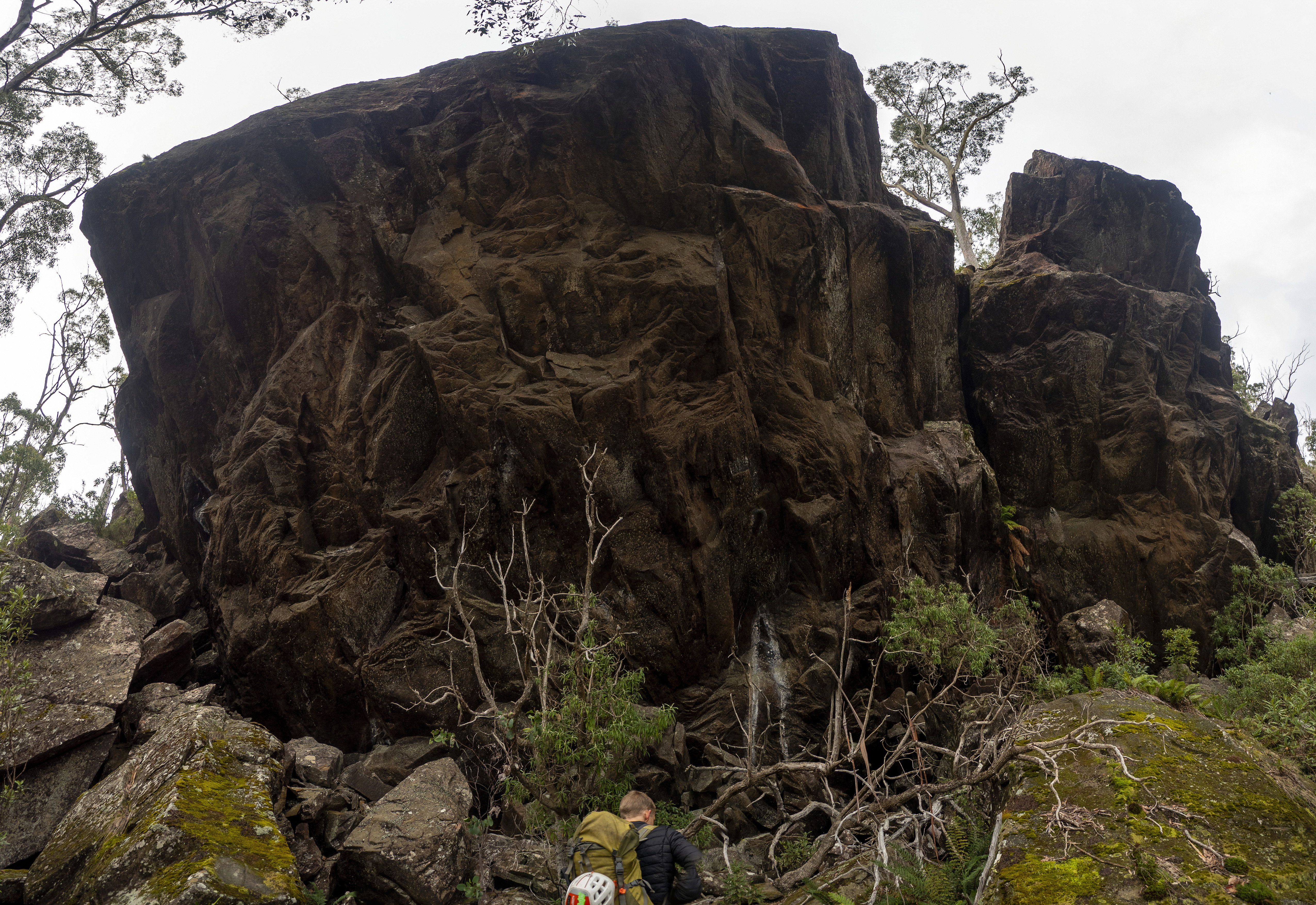 _7260486 Panorama.jpg